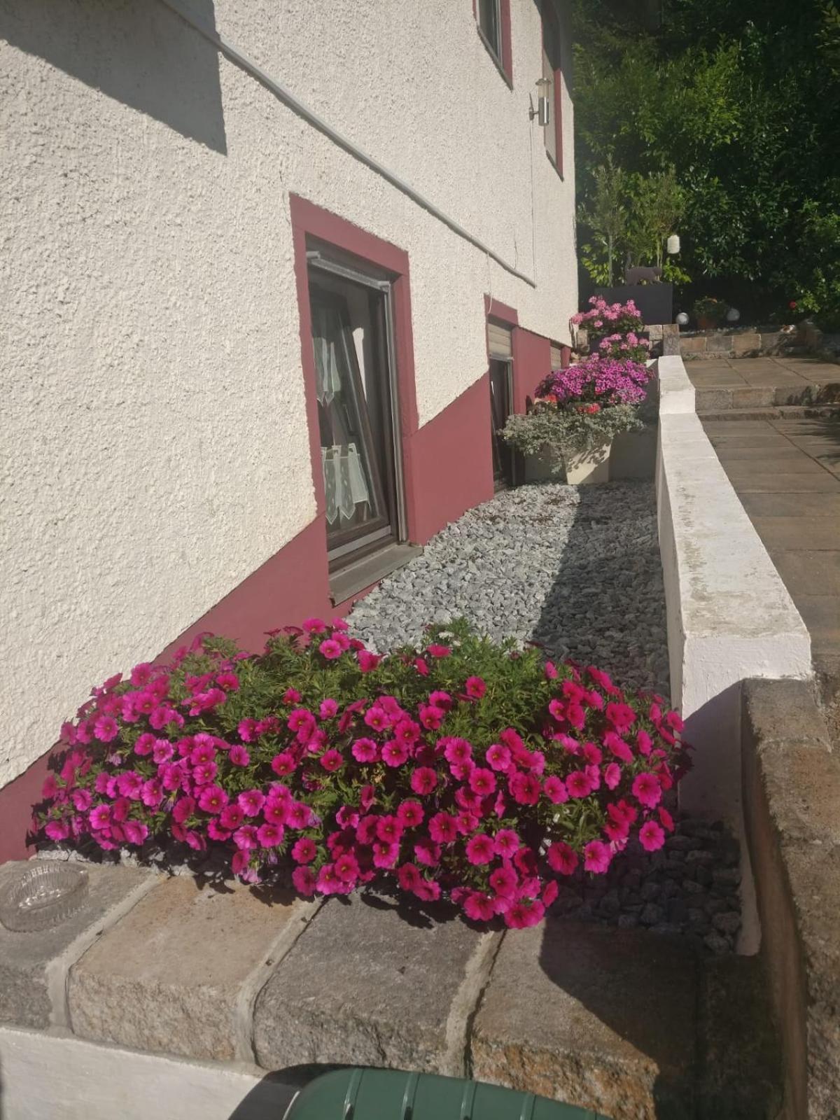 Apartments In Behringersmuehle Gößweinstein Kültér fotó
